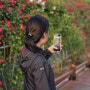 5월 6월 단양 꽃구경 장미터널 장미길의 향연