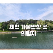 제천 의림지 산책 제천데이트코스 제천 가볼만한곳 제천의림지 의림지놀이동산