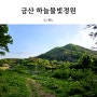 금산 아이와 가볼만한 곳 하늘물빛정원 산책｜식물원｜카페