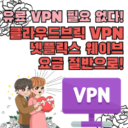 유료 VPN 필요 없다! 클라우드브릭 VPN 넷플릭스 웨이브 요금 절반으로!