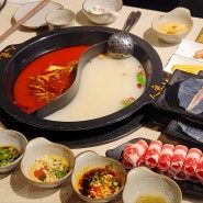 강남 훠궈 맛집 - 인량훠궈, 가물치회 훠궈가 있는 신사 논현 고급스러운 식당