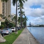 (미국여행) 하와이 기분좋은 산책길 알리와이 운하(Ala Wai Canal)