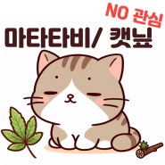 캣닢 마타타비에 관심없는 우리고양이 정상인가요?