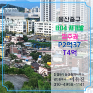 울산 중구 B04 교동 북정동 재개발 입주권 59선택 매매 조정가능