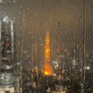 롯폰기힐즈 전망대 예약, 비오는 날 도쿄타워 야경 볼 수 있는 곳