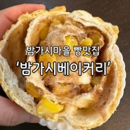 밤가시마을 빵맛집 '밤가시베이커리'에서 요즘 내가빠진 빵!