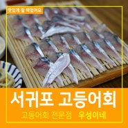 서귀포 고등어회 맛집 우성이네 신시가지 현지인 추천 맛집