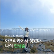 30살 동갑 신혼부부가 들려주는 아프리카 오마카세 신혼여행 후기 (feat. 짐바브웨 빅토리아 폭포, 보츠와나, 남아공, 모리셔스, 아모트래블)