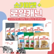 사상구 반려동물 용품 도소매 매장 소키마펫🦮 로얄캐닌 사료 절찬판매!