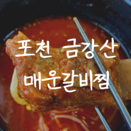 포천 금강산 매운 갈비찜 맛집