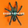 발표불안,공포증을 치료하는 2가지 방법을 히든포텐셜 책에서 배우다