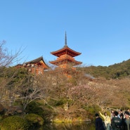 일본 오사카 3박 4일 여행기- 교토 더 챕터 호텔 투숙, 기요미즈데라(청수사방문),교토 산책,밤거리(시부모님과 일본여행기)