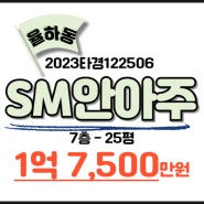 대구 동구 율하동 율하역 역세권 SM안아주아파트경매 25D평형