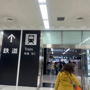 나리타 스카이라이너 예약 이용방법 자세한 후기 나리타 공항에서 신주쿠역 도쿄역