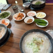 괴정 토박이가 인정하는 맛집 향촌 돼지국밥 진짜 부드럽쥬