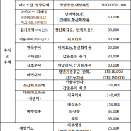 비급여 진료(영양제, 수액)