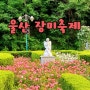 울산 대공원 장미축제 2024 행사 일정 및 주차장
