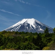 [Mt.Fuji, 富士山] 어느새 초록으로 가득한 후지산 주변