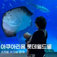 8개월 아기랑 함께ㅣ아쿠아리움 잠실 롯데월드몰(+할인꿀팁, 캐리커쳐..)
