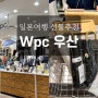 [일본여행] 선물추천 Wpc 우양산 : 루쿠아1100 백화점, 양산 종류, 가격, 장우산 기내반입