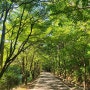 [ 일상블로그 ] 엄마네 삼겹살 신중동 / 하노이맥주밤거리 신중동 / 족발신선생 영등포 / 강화도 마니산 / 마니산 솥뚜껑닭볶음탕 / 말뚝곱창 가산 / 객주현 가산 / 시선 신중동