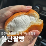 서천 금강하구둑 맛집 원단팥빵 생크림단팥빵 추천