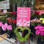[나고야 사카에/꽃상점] 정말 예쁜 매장 꽃축제!