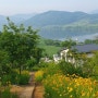 맨발걷기 좋은 곳 ‘남한강파크 황톳길’ 조성… 남한강캐슬, 금계국·배롱나무 산책길 새 단장