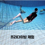 서울 수원 용인 프리다이빙 체험의 모든 것 방법, 금액, 커리큘럼, 유일한 혜택까지