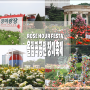 서울 올림픽공원 장미축제 장미광장 5월 꽃축제