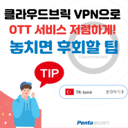 클라우드브릭 VPN으로 OTT 서비스 저렴하게! 놓치면 후회할 팁