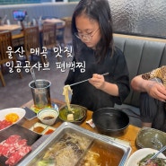 울산 매곡 맛집 완벽한 샤브샤브 일공공샤브. 편백찜 메밀당