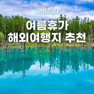 7월 8월 여름 휴가 해외 여행 추천! 일본 삿포로, 발리, 태국 방콕 선착순 특가 항공권 정보 공유