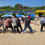 김해행복학교 안명초 운동회 전교생이 함께하는 운동회 너무 즐거웠어요