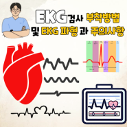 EKG 검사 부착 방법 및 올바른 EKG 파형과 간격 및 심전도 검사 시 주의사항