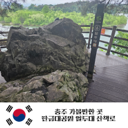 [충북] 충주 가볼만한 곳 탄금대공원 열두대 산책로 추천