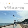 [정동진] 누리로 열차 #정동진 #강릉