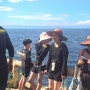 보홀 나팔링 투어(Bohol Napaling Tour)/로드 트립 & 스노클링(Road Trip & Snorkeling), 필리핀 여행(Philippines Travel)
