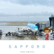 일본 삿포로 여행 준비 대한항공 마일리지 항공권 프레스티지석 수하물규정