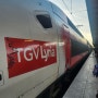 신혼여행 파리 스위스로 테제베 기차, 스위스 가는 길 텍스리펀 후기