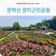 인천 문학산 장미근린공원 아름다운 인천장미공원