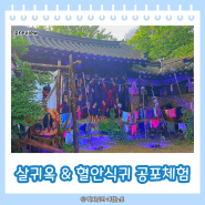 한국민속촌 살귀옥 혈안식귀 귀굴 예약 시간 체험꿀팁
