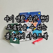 15개월 아기 생활 습관 형성, 지적 능력 발달 교구 사운드북 (블루래빗 첫 토이북 추천)