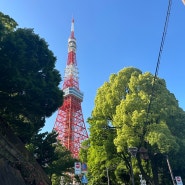 TOKYO 도쿄 여행 (1일차)