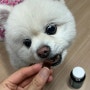 강아지 눈건강은 [펫생각]리얼 루테인으로 챙겨요!