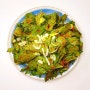 셀러리잎 겉절이 10분 완성하기 채소 반찬으로 면역력 UP 손질 보관 먹는 법