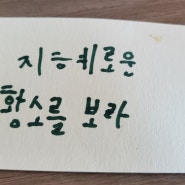 오늘 할 공부를 하니까 뿌듯해요! 학원 안 다니면 심심할 것 같아요. 반복의 힘, 교육의 영향. 로미의 넛지 육아, 자녀교육 참고