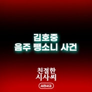 <김호중 뺑소니 사건> 24일 구속영장 심사
