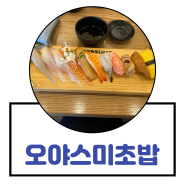 [운정] 다율동 해오름마을 초밥 맛집 '오야스미 초밥'
