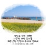 강원도 강릉 여행! 사근진 해변 유채꽃 해중공원 전망대 무지개 방파제